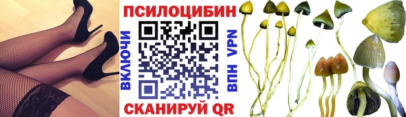наркотики  дарк нет формула  Галлюциногенные грибы Magic Shrooms  Арзамас 